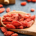 Mới được chứng nhận hữu cơ Lycium Goji Berry khô